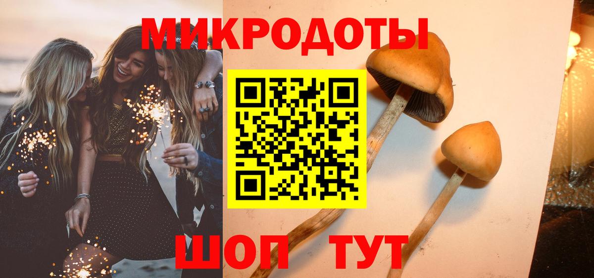 где продают наркотики  Галлюциногенные грибы Magic Shrooms  Вход с VPN  Псилоцибиновые грибы GOLDEN TEACHER  Мончегорск 