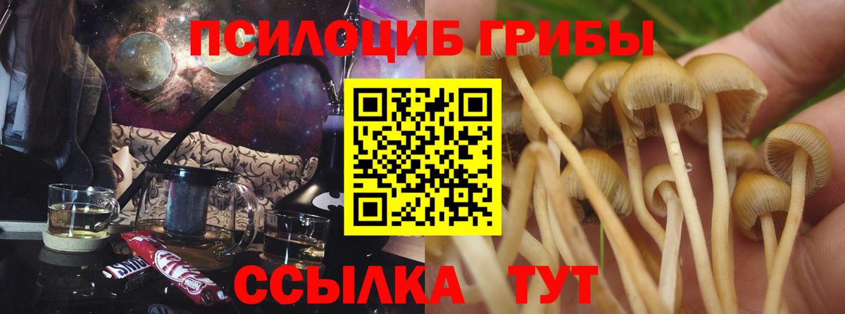 Галлюциногенные грибы мицелий Мончегорск